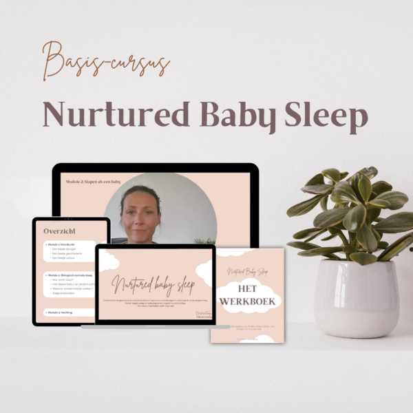 Basis-cursus Nurtured Baby Sleep