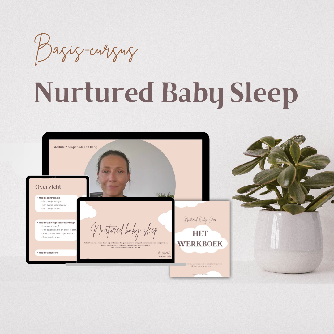 thenurturingkindbasiscursusnurturedbabysleep