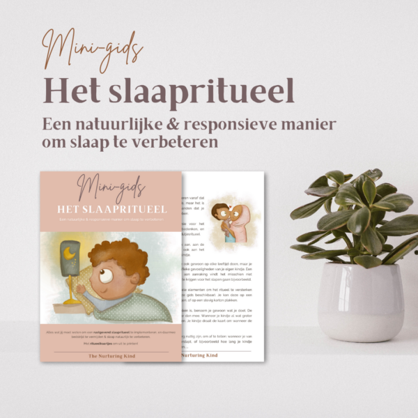 Mini-gids 'het slaapritueel'