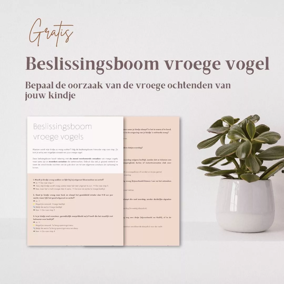 gratis beslissingsboom
